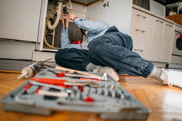 Best Residential Plumbing Services  in Camanche, IA