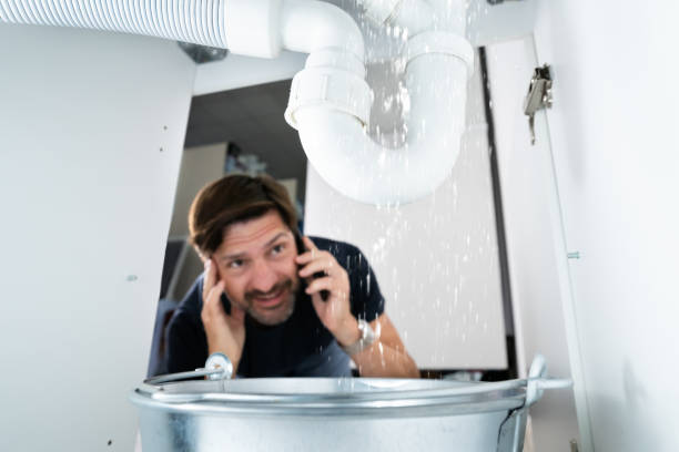 Best Water Softener Installation  in Camanche, IA